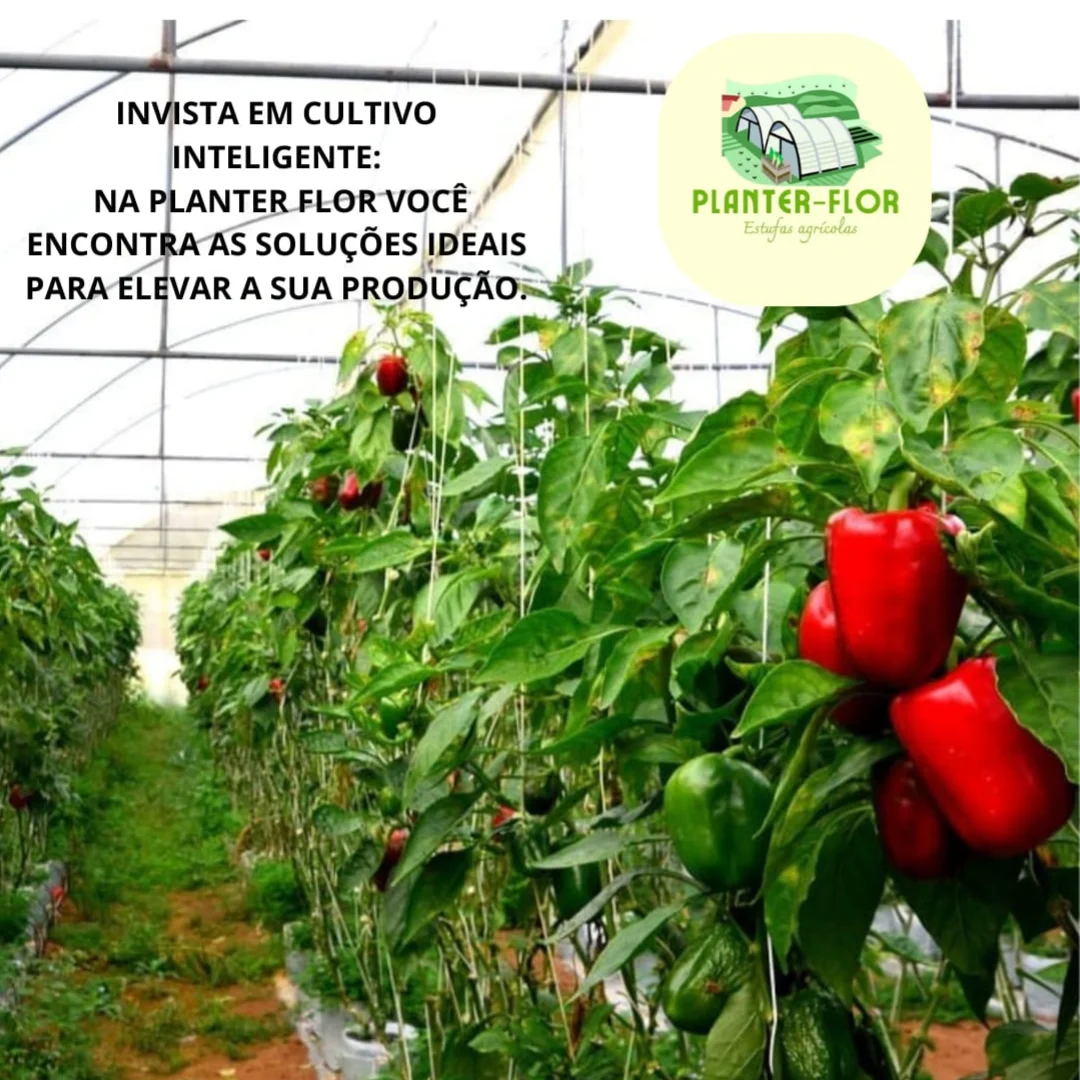 Estufa 2